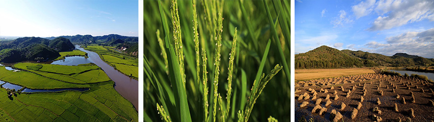 1600934576683235.jpg 4444.jpg